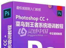 Adobe Photoshop CC+从菜鸟到王者零基础全面系统培训中文视频教程