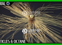 Octane & X-Particles 渲染基础视频教程Octane & X-Particles Basics C4D