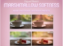 棉花糖色调Lightroom预设Lightroom presets