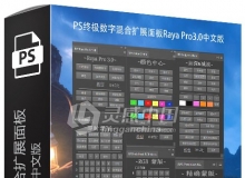 Raya Pro3.0汉化版|PS终极数字混合扩展面板Raya Pro3.0中文版