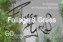 60种地表苔藓地衣草地叶子植物PS笔刷套装 60 Photoshop Foliage & Grass brushes