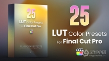 LUT预设-25个电影大片单色黑白LUTs视频调色预设 25 LUTs pack