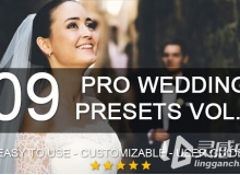 9个专业的婚礼Lightroom预设 9 Pro Wedding Presets vol.2