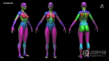 Zbrush女性模块化雕刻解剖学技术视频教程