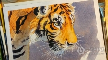 绘画教程 欧美传统水彩画大师级训练视频教程