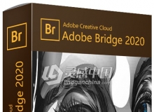 Adobe Bridge 2020 10.0.0.124 ACR 12.0 Mac系统中英文版 一键在线安装 无需破解程序
