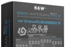 Joel Tjintjelaar风光黑白明度蒙版扩展 BW Artisan Pro X v1.1汉化版