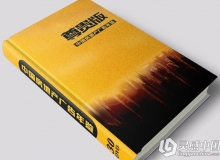 LGC50 中国房地产广告年鉴-尊贵版（30DVD）PSD矢量平面设计素材图库