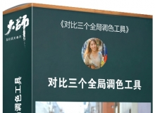 大师修图课堂 对比三个全局调色工具中文视频教程