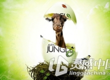 AudioJungle背景音乐第七辑-AudioJungle Bundle 2014 vol. 7