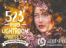 523组欧美风景人像Lightroom预设合集 Premium Lightroom Preset