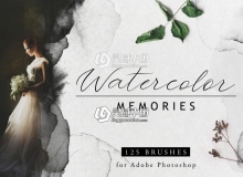 125组水彩PS笔刷 Watercolor memories - 125 PS brushes