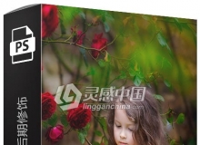 俄罗斯摄影师Kalmykova Irina唯美儿童艺术后期修饰第24课视频教程