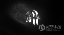 AE模板 秘密感复古优雅奢华皮革背景高光闪亮光滑面标志LOGO片头 AE工程 AE文件下载