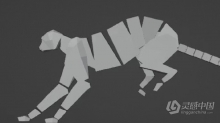 Blender猎豹骨骼绑定动画实例制作视频教程