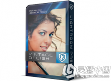 久保田经典美味Lightroom预设 Kubota Lightroom Presets Vintage Delish