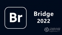 Br 2022正式版 Adobe Bridge 2022 12.0.0.234 ACR14.0 Win x64系统一键安装完整版