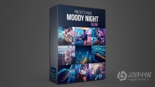 城市夜景情绪人像lr预设 Thiago Bonfim - MOODY NIGHT GLOW Presets