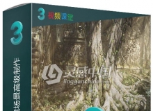3Dsmax三维艺术环境场景高级制作视频教程