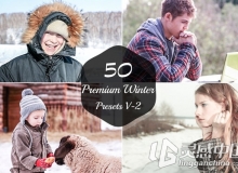 50冬季Lightroom预设 50 Premium Winter Lightroom Presets V-2