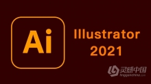 Adobe Illustrator 2021 25.0.0.60 Winx64 AI 2021中英文版一键安装完整版