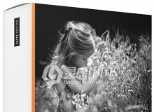 PS胶片模拟滤镜 DxO FilmPack Elite 5.5.20 中文汉化版 支持PS CC 2019