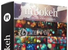 100组电影级2K光斑炫光mov原码54GB视频素材合集 100 Organic 2K Bokeh Elements