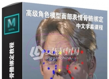 高级角色模型面部表情骨骼绑定中文字幕视频教程
