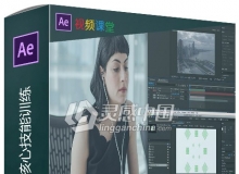 AE CC 2019基础核心技能训练视频教程