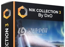 DxO Nik Collection 3.0.8 Win64位中文破解版DxO Nik Collection 3.0.8七合一插件