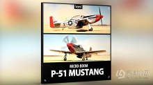 战斗机飞机音效素材34种声音 P-51 Mustang boomlibrary