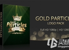 优雅金色粒子汇聚logo展示AE模版  Videohive Gold Particles Logo Pack