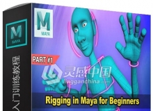 Maya骨骼套索动画初学者入门训练视频教程 Rigging in Maya for Beginners