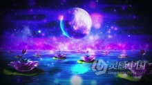 山光水色美丽夜光十色湖光潋滟水惹莲动背景视频素材 MoonLight