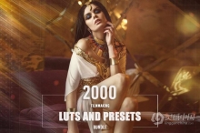 2000款华丽多样化电影级风格化调色LUT预设包合集 2000 Filmmaking LUTs and Presets Bundle