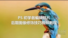 PS教程 PS初学者编辑照片后期图像修饰技巧视频教程