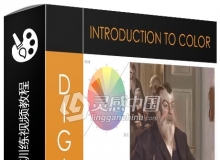 数字色彩绘画实例训练视频教程