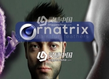 头发毛发羽毛模拟中文汉化版C4D插件Ornatrix v1.0.0.22027 for Cinema 4D Win破解版