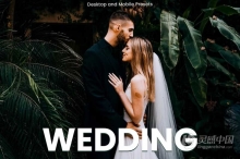 旅拍电影婚礼调色Lightroom预设 Wedding–Desktop and Mobile Presets