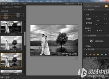 PS Lr 黑白胶片滤镜插件Silver Efex Pro v2.006中文版(支持CC2019）