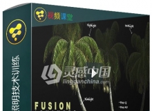 Fusion先进灯光照明技术训练视频教程