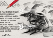 susanlyon风格的素描PS笔刷 AD Pencils Garden v1.0