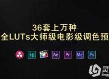 36套上万种最全LUTs大师级电影级调色预设