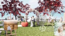AE模板-浪漫户外婚礼场景制作婚礼请柬视频动画AE模板下载 Wedding Invitation