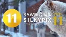 RAW照片编辑软件 SILKYPIX Developer Studio Pro 11.0.9.0 中文汉化版 WIN系统下载