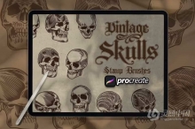 【Procreate笔刷】10个Ipad绘画的复古骷髅魔鬼头像Procreate笔刷 Vintage Skull Brush Stamp