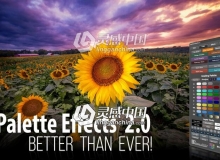 Palette Effects 2.0汉化版|PS调色板扩展面板 支持PS CC 2019