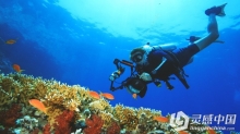 初学者水下摄影拍摄技巧视频The Ultimate Beginners Guide To Underwater Photography