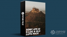 索尼A7S III / A7III HLG和 S-LOG的LUT调色预设 LUTs for Sony A7S III / A7III for HLG &