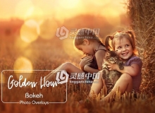 30组金色虚化散景光斑叠加合成前景素材 Gold Bokeh Overlays